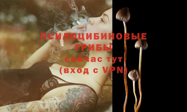 MDMA Вяземский