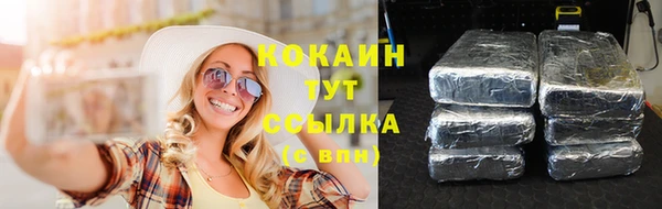 дживик Вязники