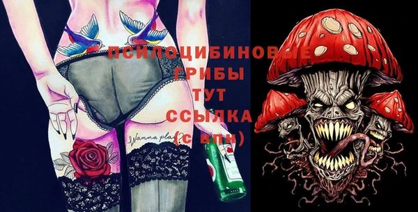 стафф Горнозаводск