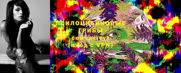 мяу мяу мука Гусиноозёрск
