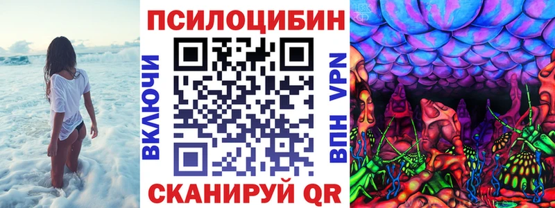 Галлюциногенные грибы мицелий  Дубовка 